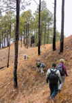 Khali Estate to Dalar