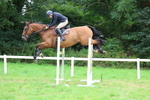 Class 8: Senior Foxhunter/1.20m open portfolio