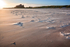 Sand Hills
