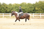 SBM_000577