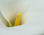 20140526-3K8A1747-2983