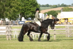 SBM_09525
