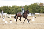 SBM_005666