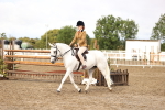 SBM_00269
