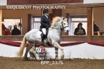 BPP_2376