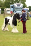 SBM_06345