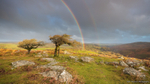 Combestone Tor