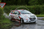 ULSTER RALLY 10