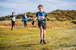 Sale Fell-89