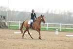 SBM_003331