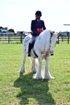 SBM_09499