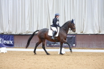 SBM_001951
