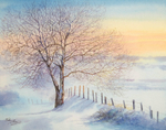 'Winter Ash'