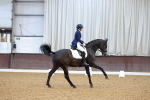 SBM_003095
