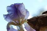 Translations II - 10