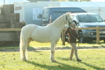 SBM_57379