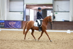 SBM_004453