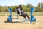 SBM_001197