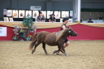 SBM_16693