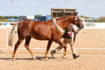 SBM_12010