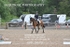BPP_9679