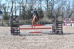 CLASS 14 SUN Springboard 128cm/ 138cm Restricted Handicap portfolio