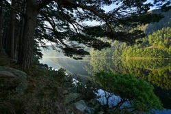 Glendalough Lake