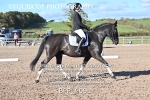 BPP_9091