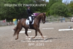 BPP_6381