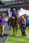 Race 2 14.45pm 911 At Porsche Centre Hull EBF Restricted Maiden Stakes portfolio