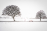 Snow Jog