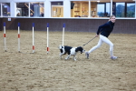SBM_005716
