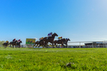 220426-Race 5-Evocative Spark-0735
