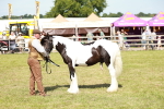 SBM_08639
