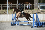 BVRC SJ 170319 236