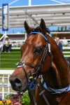 270523-Race 3-Chipstead-0485