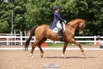 Cls 19 BD FEI Intermediate I portfolio