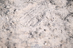 260705A-170241-21266