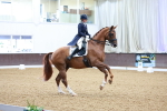 SBM_007786