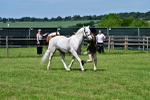 SBM_07823