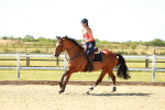 SBM_005190