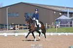 Cls 33 FEI Freestyle Music Pony portfolio