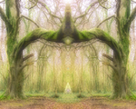 10th February Beech Elementals
