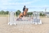 BPP_1426