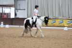 SBM_009309