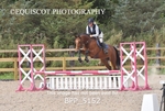 BPP_5152