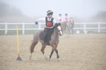 SBM_001013