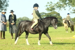 SBM_59218