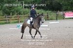 BPP_0384