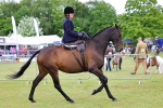 SBM_02724
